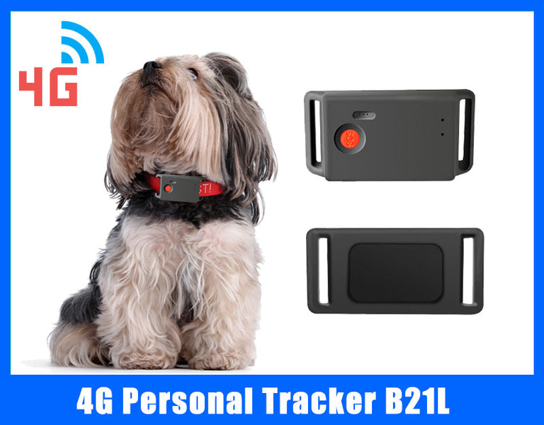 Keep Your Furry Friend Safe with a 4G Pet Tracker