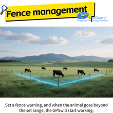 Cargar imagen en el visor de la galería, virtual fence
