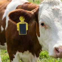 Load image into Gallery viewer, gps eartag
