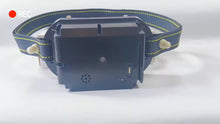Cargar y reproducir el video en el visor de la galería, virtual fence
