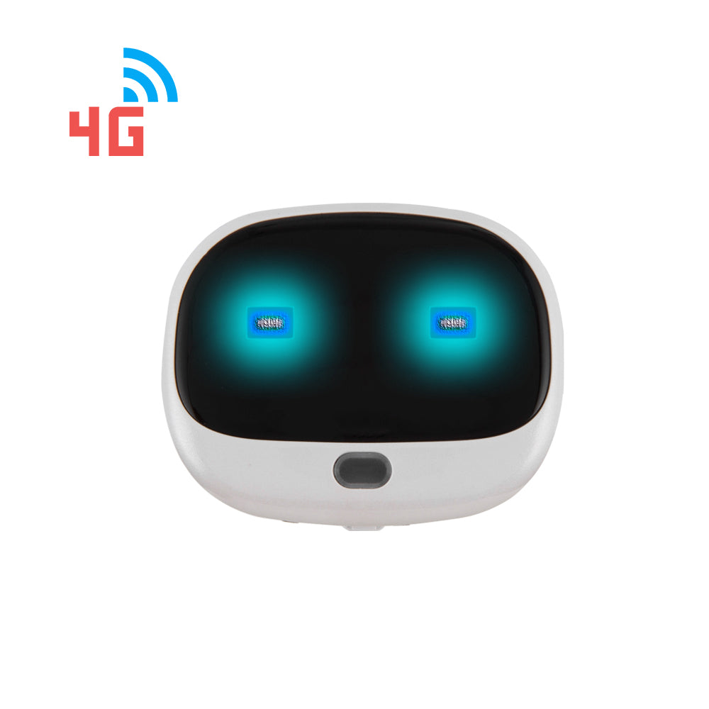 4G Pet Tracker V43